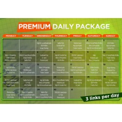 Daily SEO Premium Plan